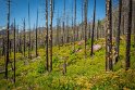 103 Glacier NP